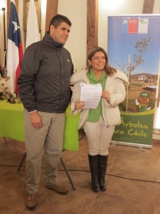 DiaArbol3