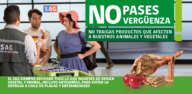 Declare productos de origen vegetal o animal Si ingresa a Chile y porta o trae consigo en sus vestimentas o en su equipaje (maletas, bolsos, mochilas, cajas, carteras, etc, independiente de su naturaleza y tamaño) o de algún modo en el medio de transporte en el que se traslada productos, partes y/o subproductos de origen animal y/o vegetal (que no tengan carácter de carga comercial) sin importar su cantidad o tiempo desde que lo obtuvo DEBE DECLARARLOS.  Un inspector del Servicio Agrícola y Ganadero (SAG) evaluará si el producto está en condiciones de ingresar al país. El SAG evita la introducción desde el extranjero de enfermedades o plagas que puedan afectar a los animales o vegetales y dañar gravemente a la agricultura para lo cual dispone de controles fronterizos fito y zoo sanitarios en terminales terrestres, aéreos y marítimos. Si tiene dudas consulte al teléfono 600 818 1724. Más detalles en http://www.sag.cl/content/controles-fronterizos